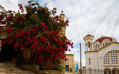 Wycieczka jednodniowa, Ja, tato i mama z Pafos do farmy osiołków