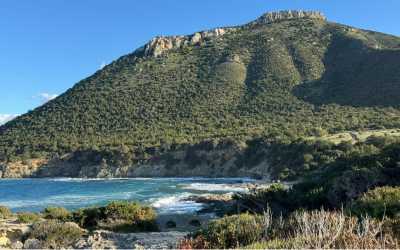 Wycieczka fakultatywna, Maraton Jeep Safari Najważniejsze atrakcje Pafos z Pafos