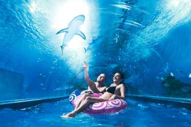 Obóz młodzieżowy, Luz, blues i skok za morze. Aquapark z rekinami, Laser Tag, misja specjalna. Rejs promem. Kolonia 7-13 lat, obóz 14-18 lat.